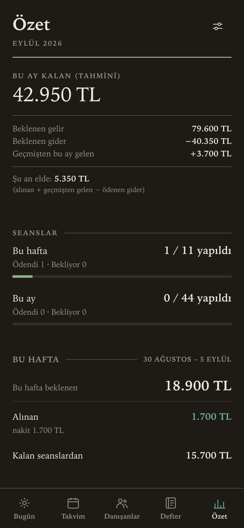 Aynı özet ekranı, koyu temada.